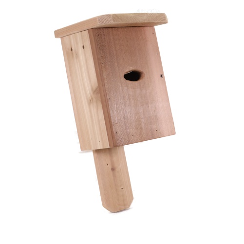 Swallow House The Wild Bird Store