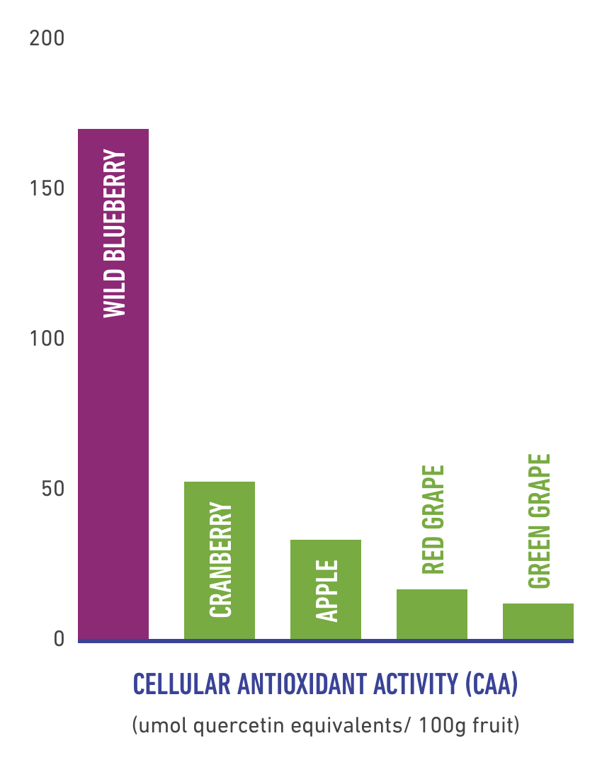 Wild Blueberries and Antioxidants Wild Blueberries