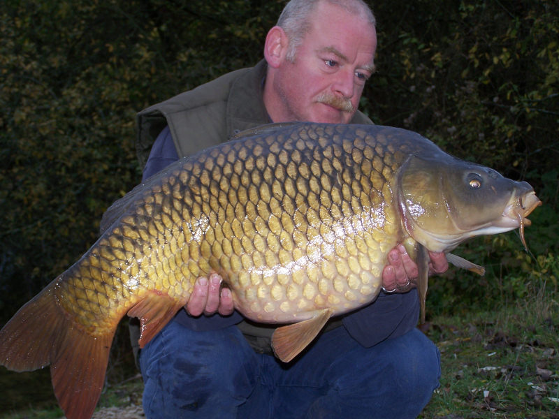 Wonderful carps of Wild Carp Lakes fishery in France
