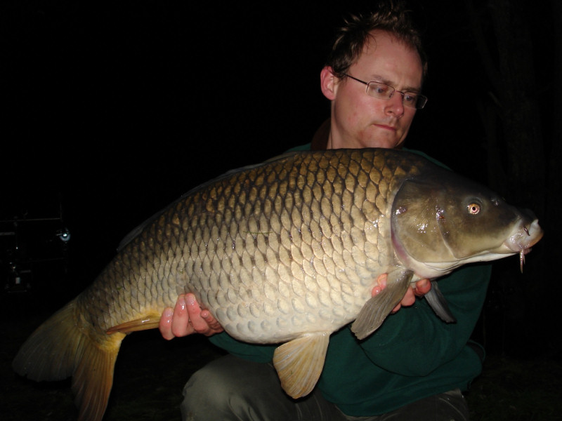 Wonderful carps of Wild Carp Lakes fishery in France