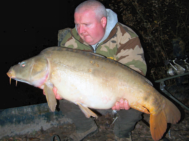 Wonderful carps of Wild Carp Lakes fishery in France