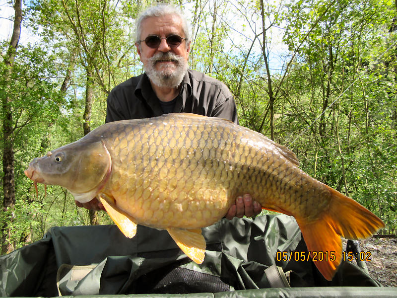 Wonderful carps of Wild Carp Lakes fishery in France