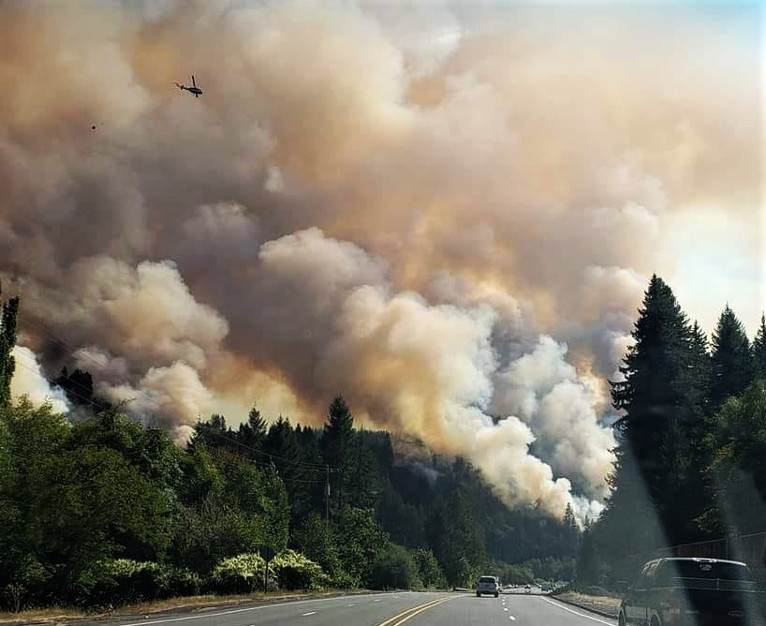 Series of Fires Grow to 500 acres East of Florence Wild Coast Compass