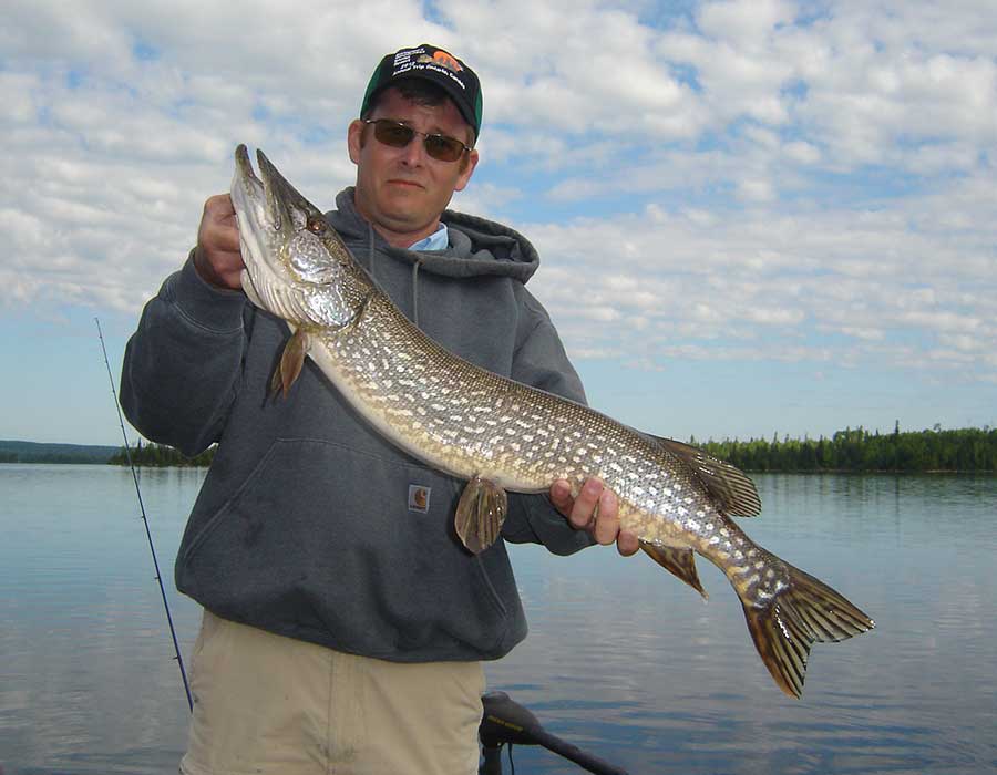 Northern Pike Fishing Errington's Wilderness Island Ontario, Canada