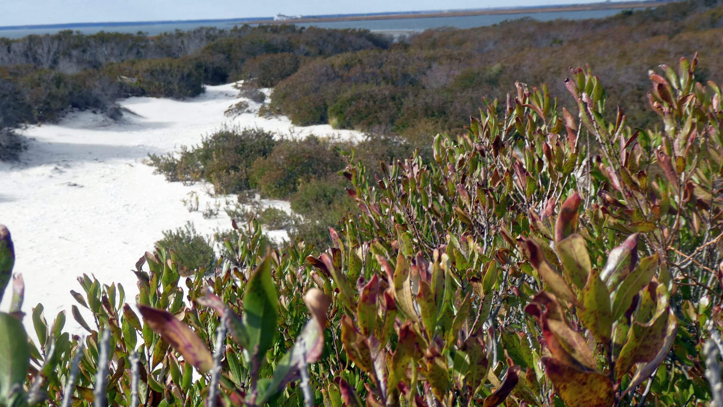 Brigantine Wilderness, 2016 Wilderness Need