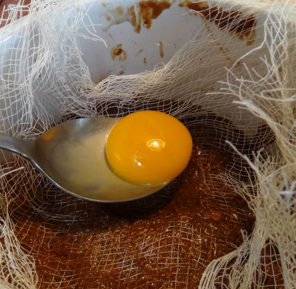 Snuggled Eggs, or Misofermented Egg Yolk Wild Fermentation Wild