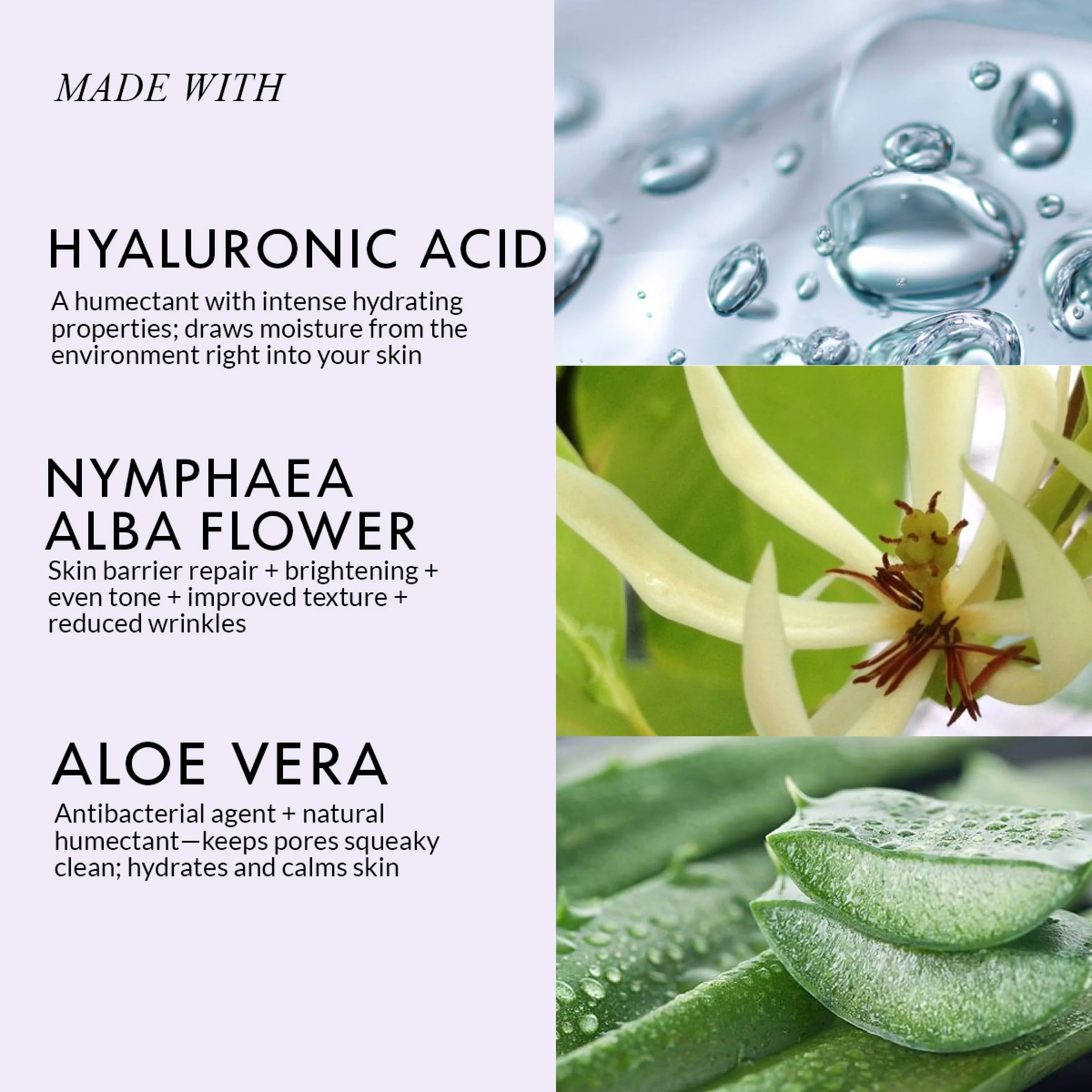 Hyaluronic Acid Face Wash Deeply Hydrating Formula WildGlow