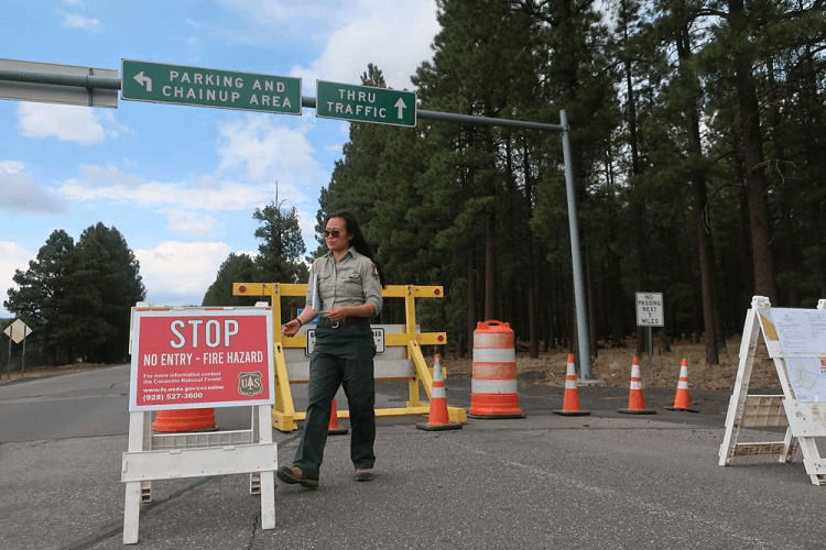 Fear of Wildfires Forces Forest Closures Across Arizona The Wildland Firefighter