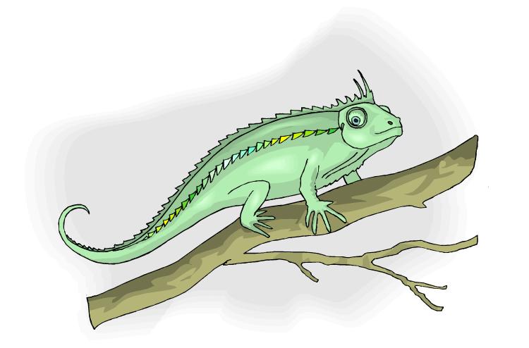 Free Lizard Clipart