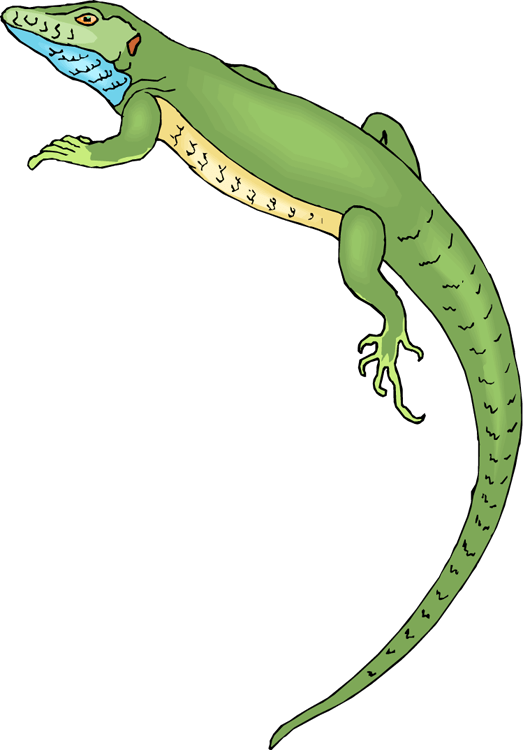 Free Lizard Clipart