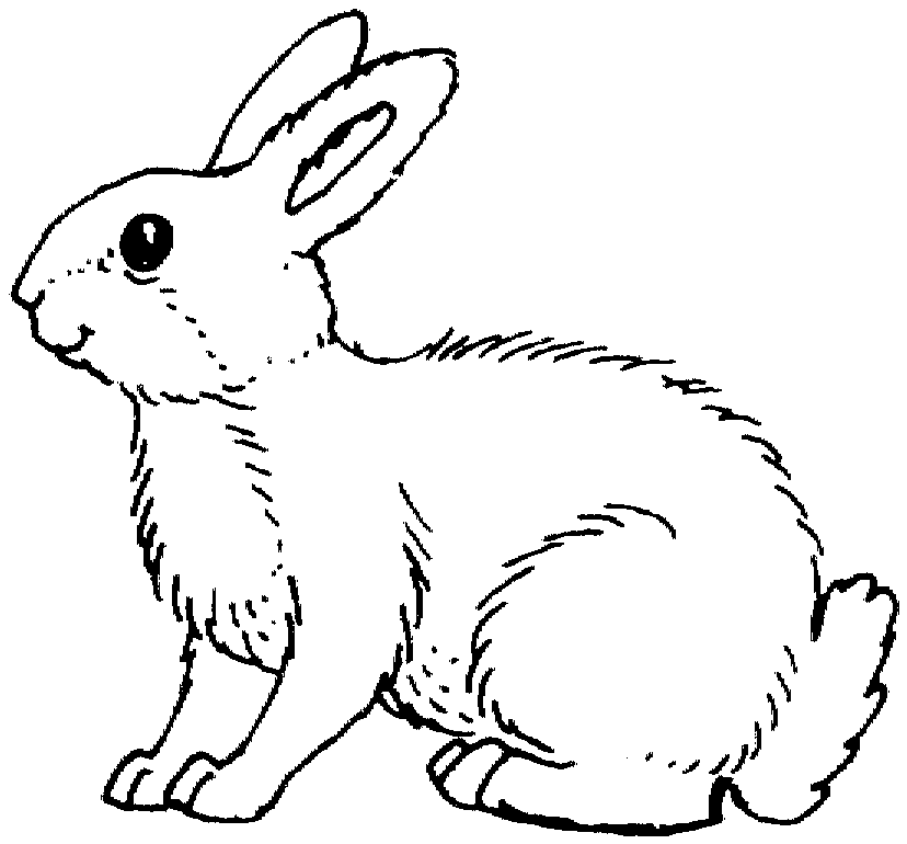 Free Rabbit Coloring Pages