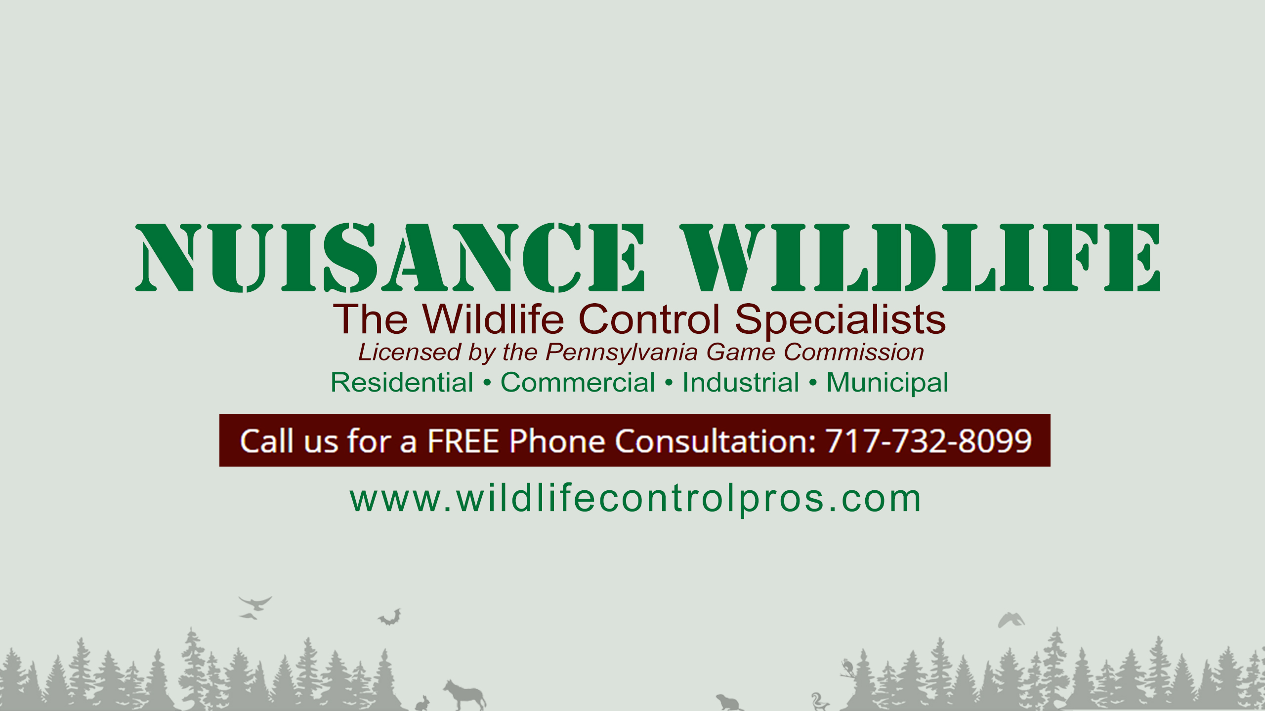 Harrisburg PA area Wildlife Removal and Control Service