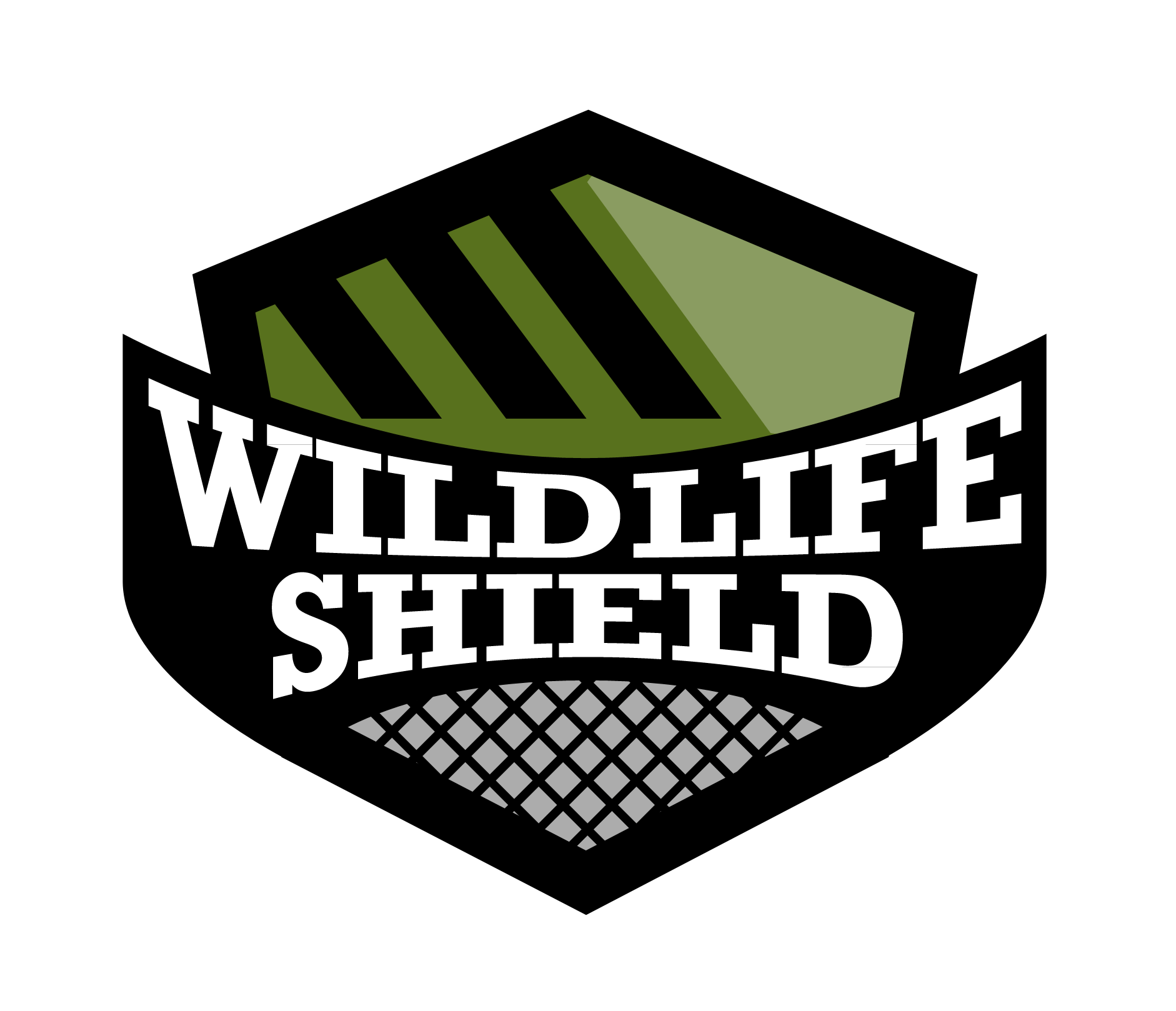 What is The Average Lifespan of a Grey Squirrel? Wildlifeshield.ca