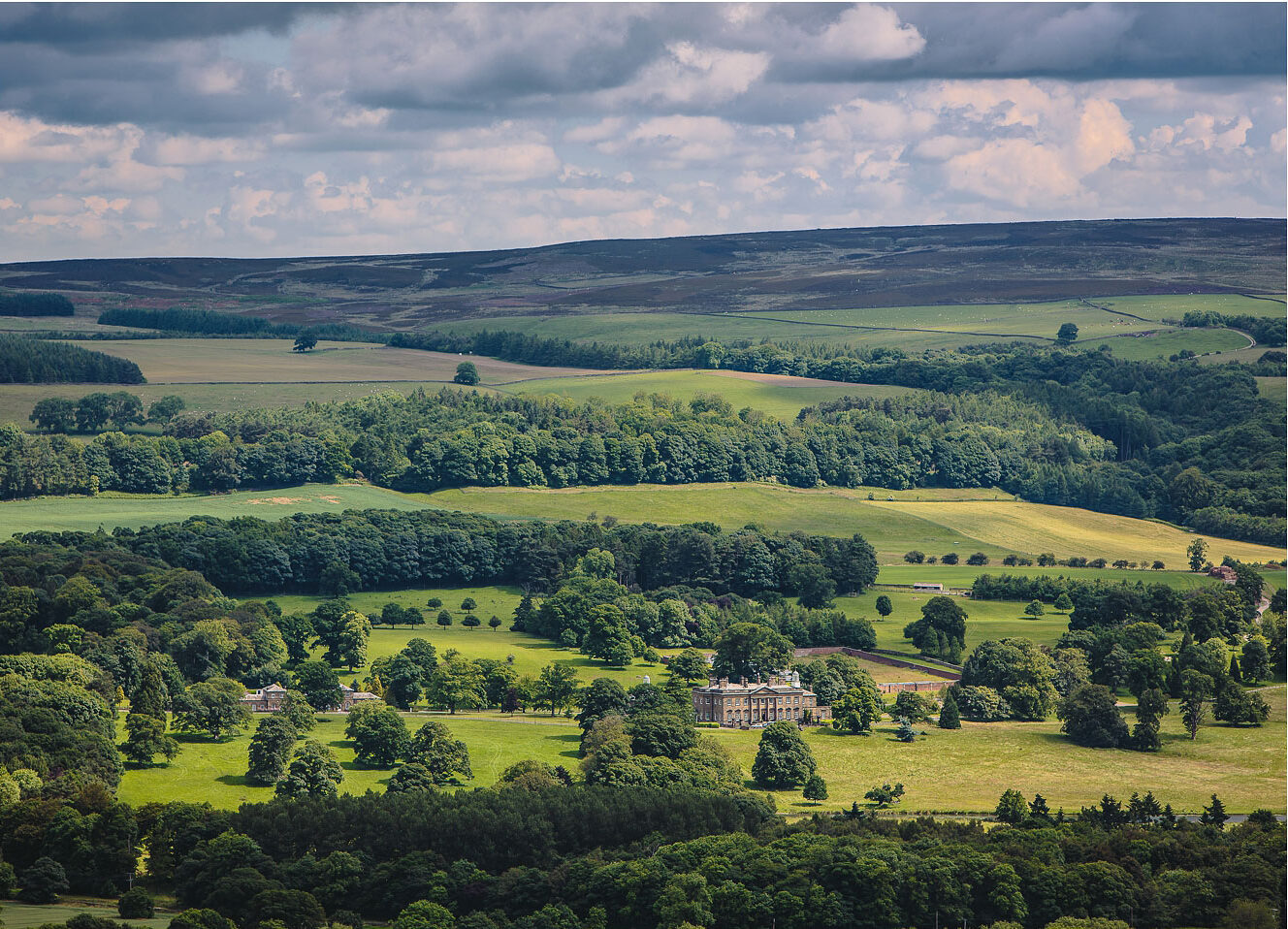 Wild Moors Denton Park Estate’s ambitious rewilding plans