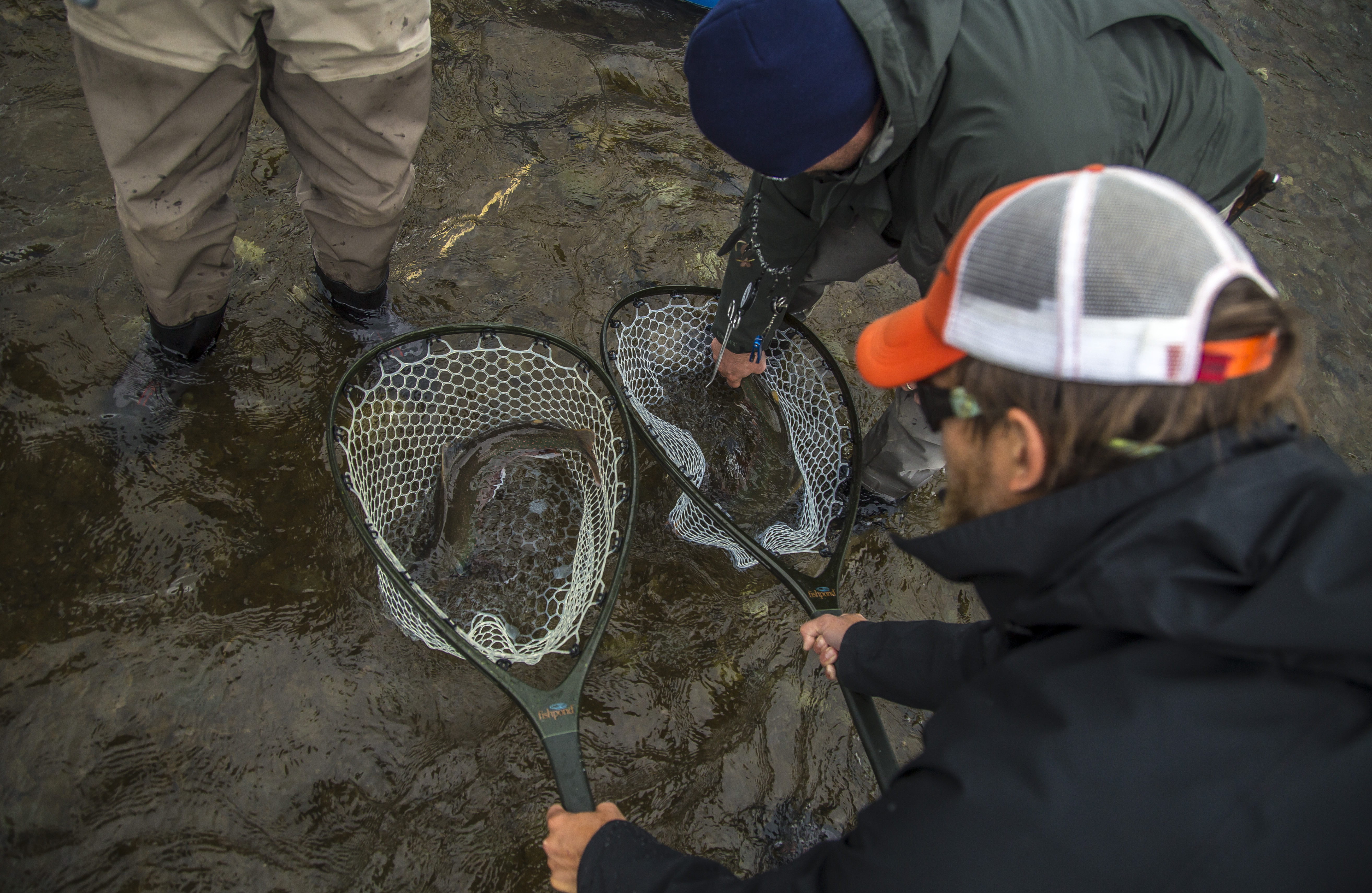 Double Net Char Schmidt Wild River Fish
