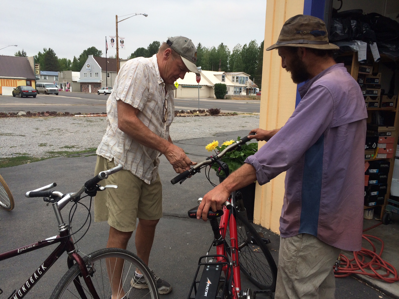 Life at 10 MPH Wild Times Project