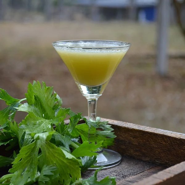 7 Top Benefits & Uses Of Celery Ajmoda Wildturmeric