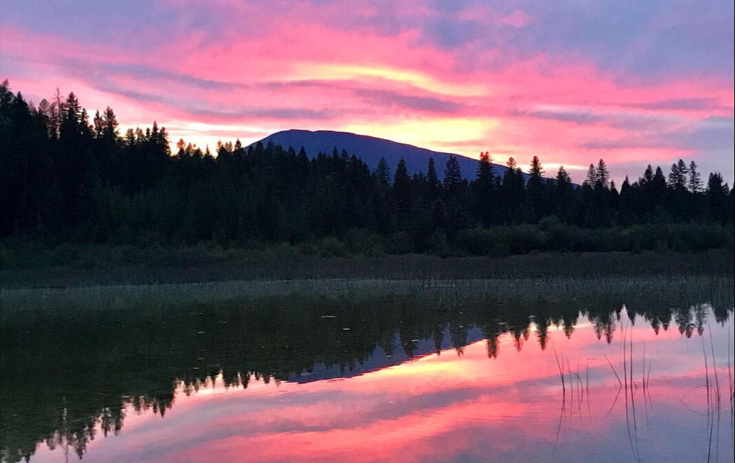 Wildwood Cabin & Treehouse Rentals in East Kootenays, BC