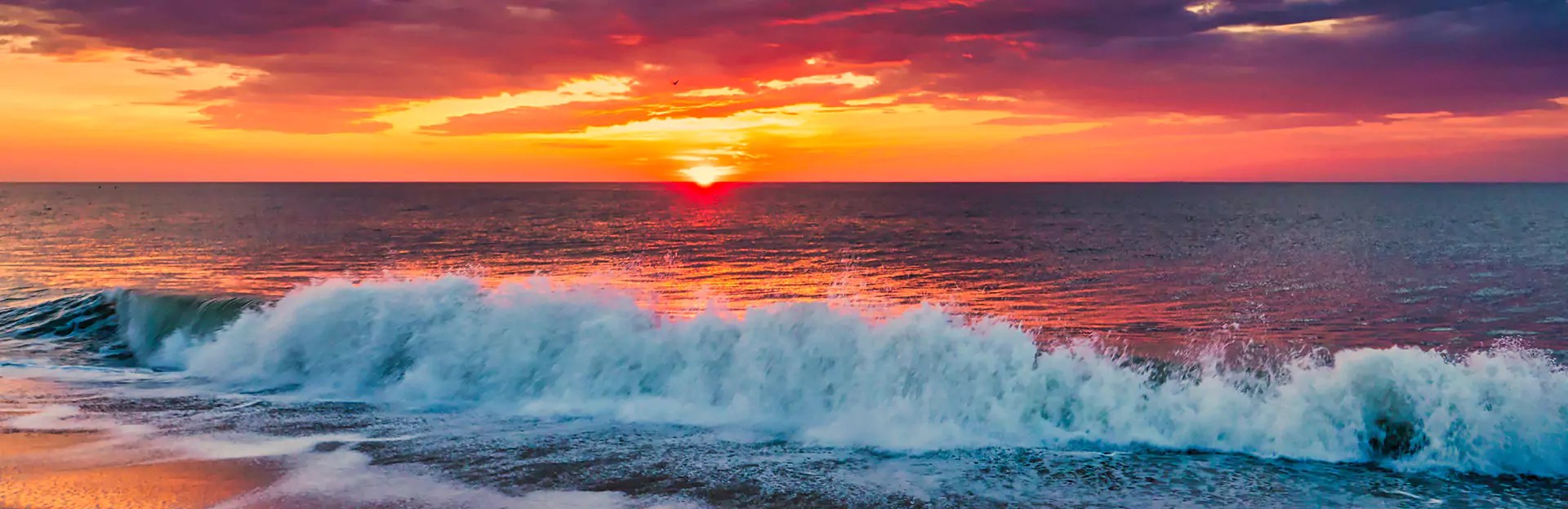 Vacation Rentals in Southern Delaware Wilgus Associates