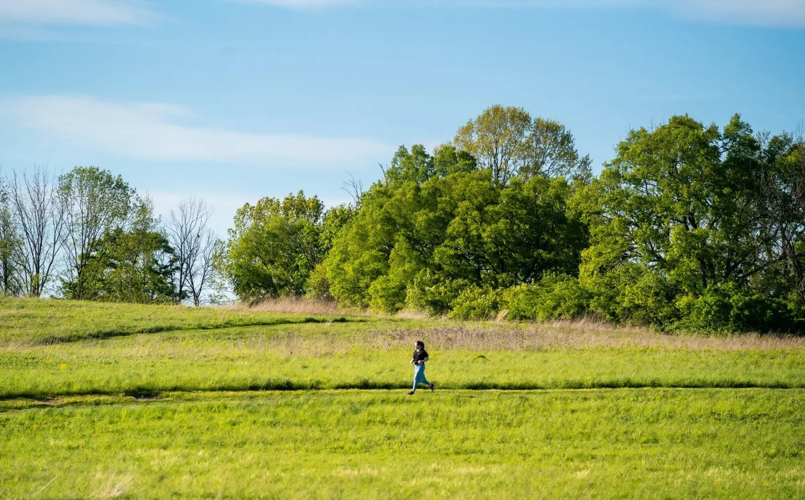 Lusby MD Property Management Wilkinson Property Management of