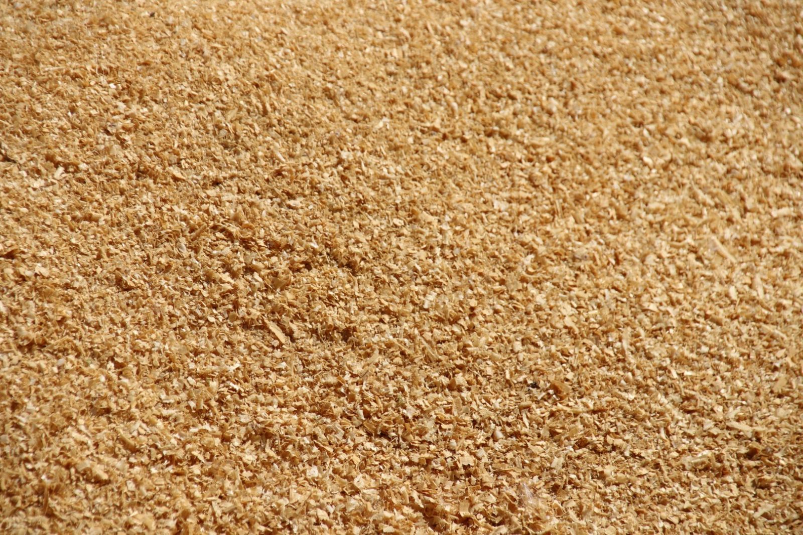 producing to packaging sawdust willems baling equipment