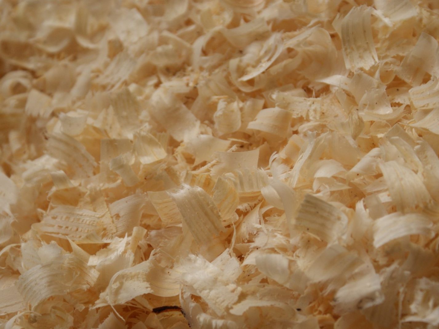 Produce , proces and package wood shavings willems baling equipment