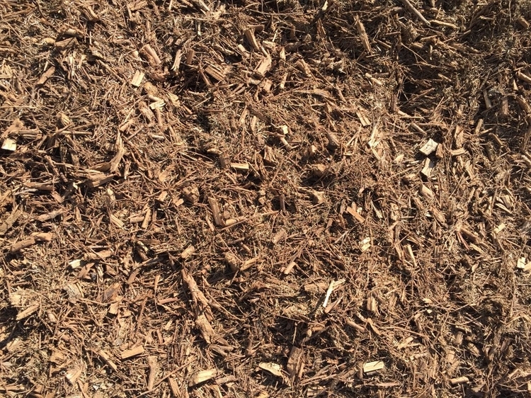 Wellpackaged Tee tree mulch or mulch as the ideal breeding ground for