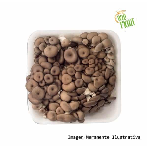 COGUMELO SHIMEJI (Bandeja com 200 gramas) Will Fruit Quitanda Delivery