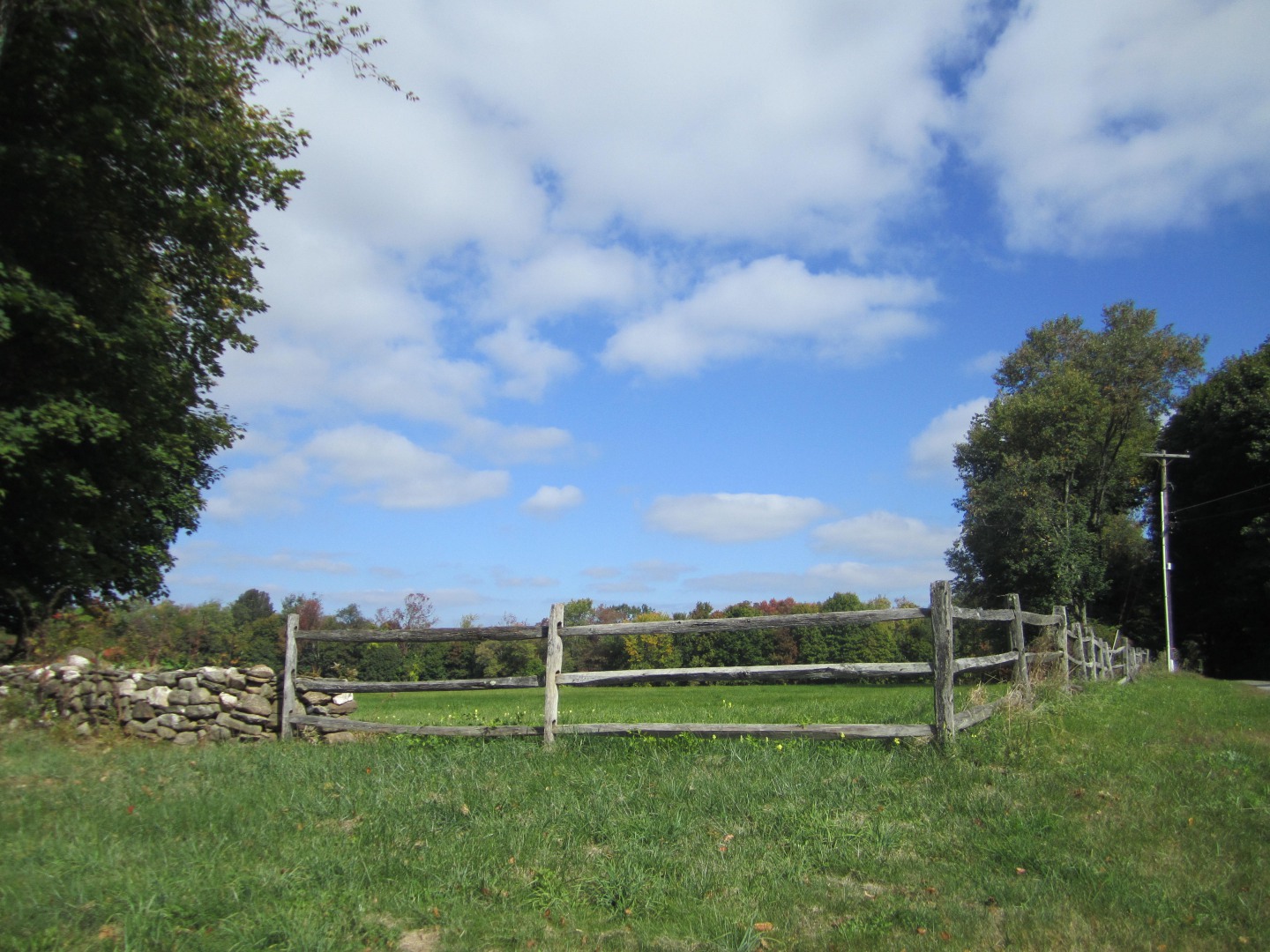 It’s All in the Land William Pitt Sotheby's Realty