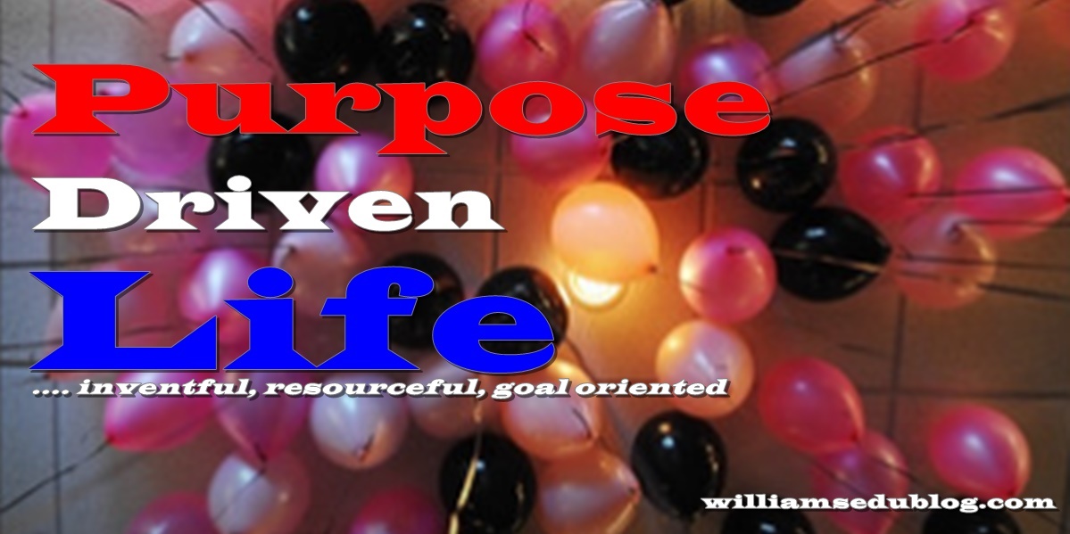 PurposeDriven Life 10 Compulsory Questions For a purposedriven