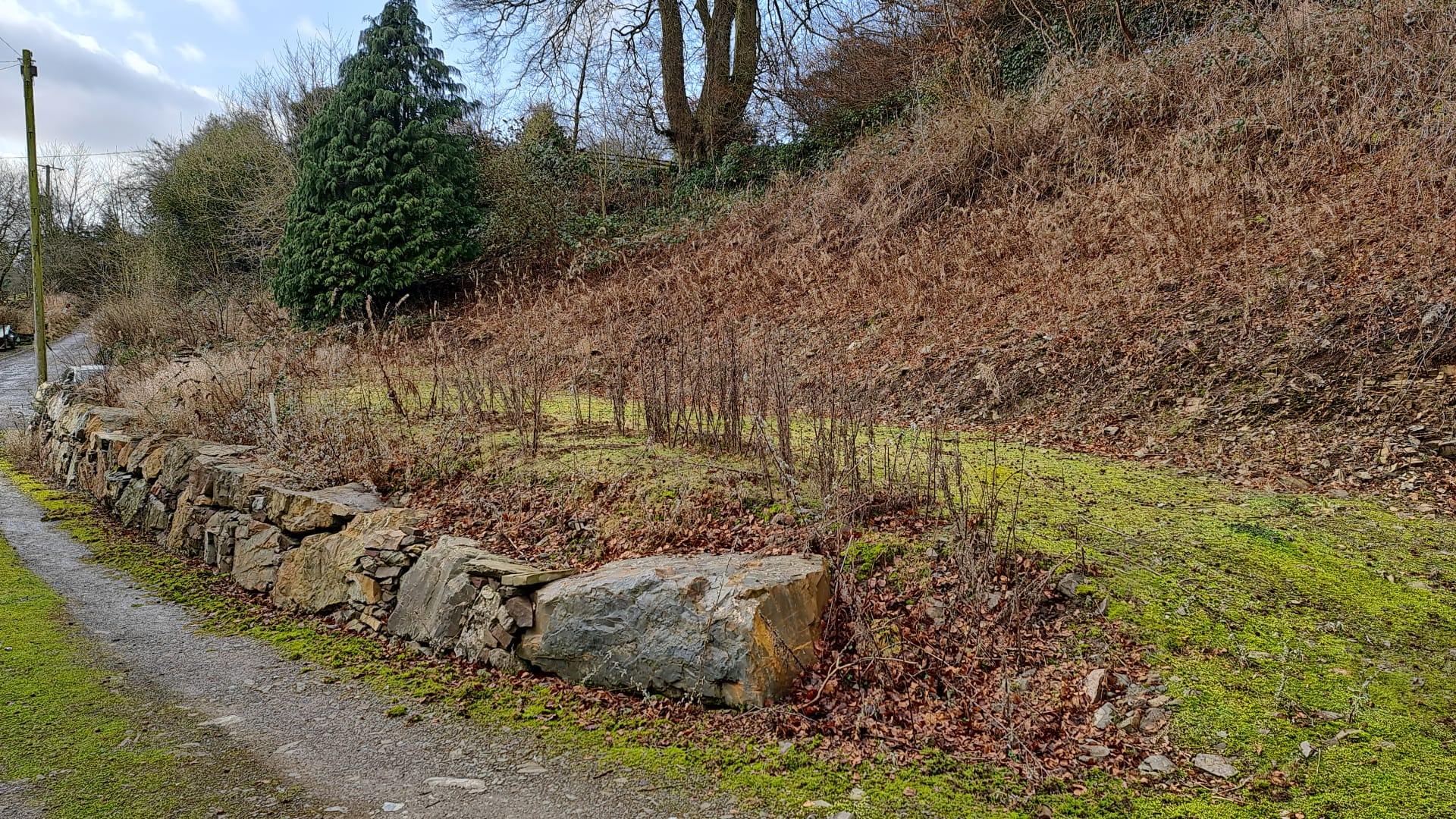 Building Plot, Monks Way, Tongland, Kirkcudbright Williamson and Henry