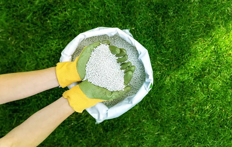 When to Fertilize Your Lawn in Oklahoma