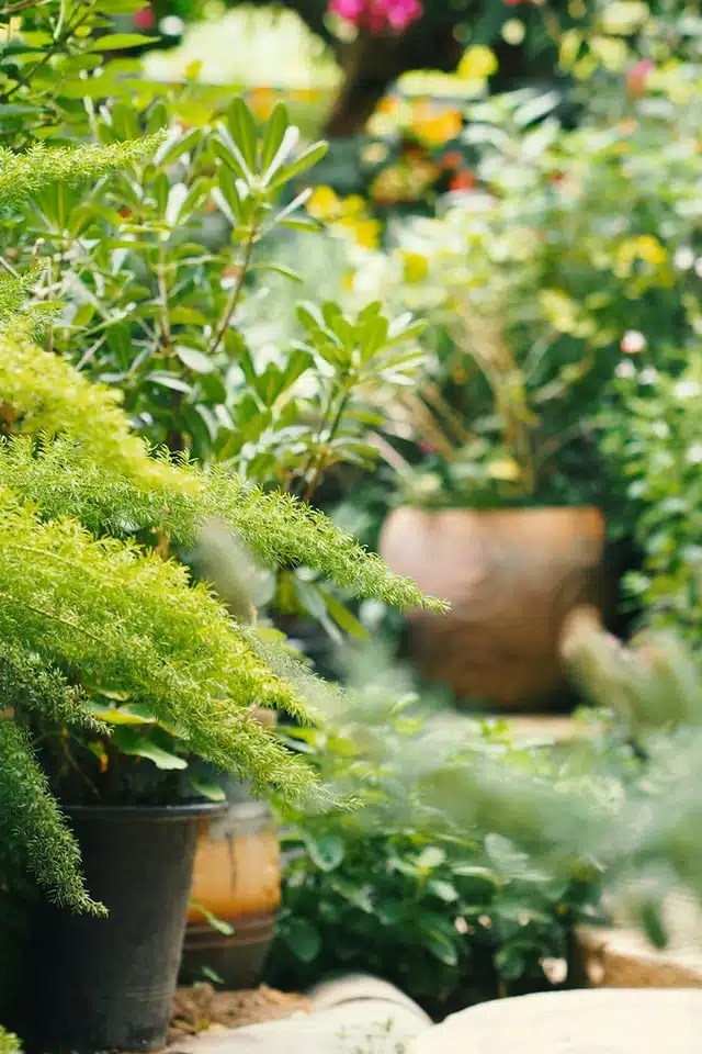 Landscaping Maintenance for Rental Properties