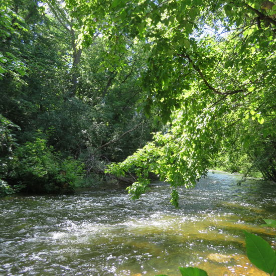 Willmar Lakes Area Trail Maps Willmar, Minnesota Willmar Lakes Area