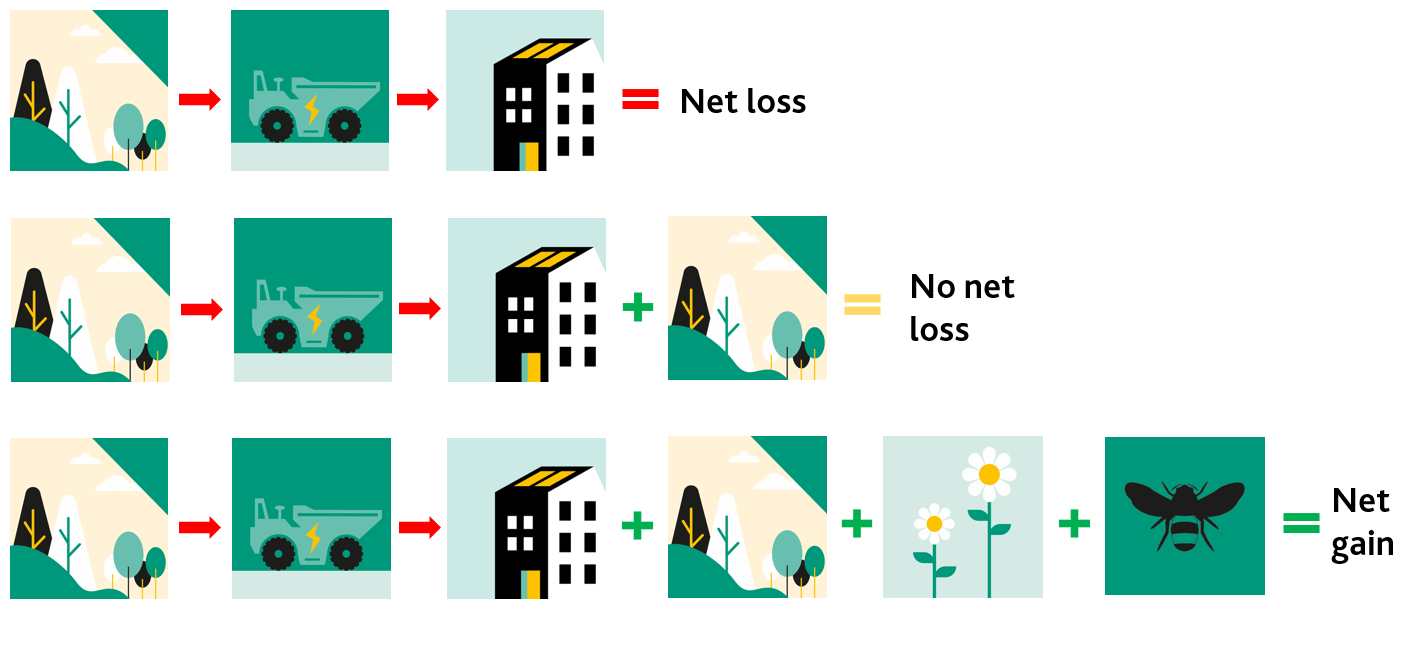 The opportunity for biodiversity net gain Willmott Dixon