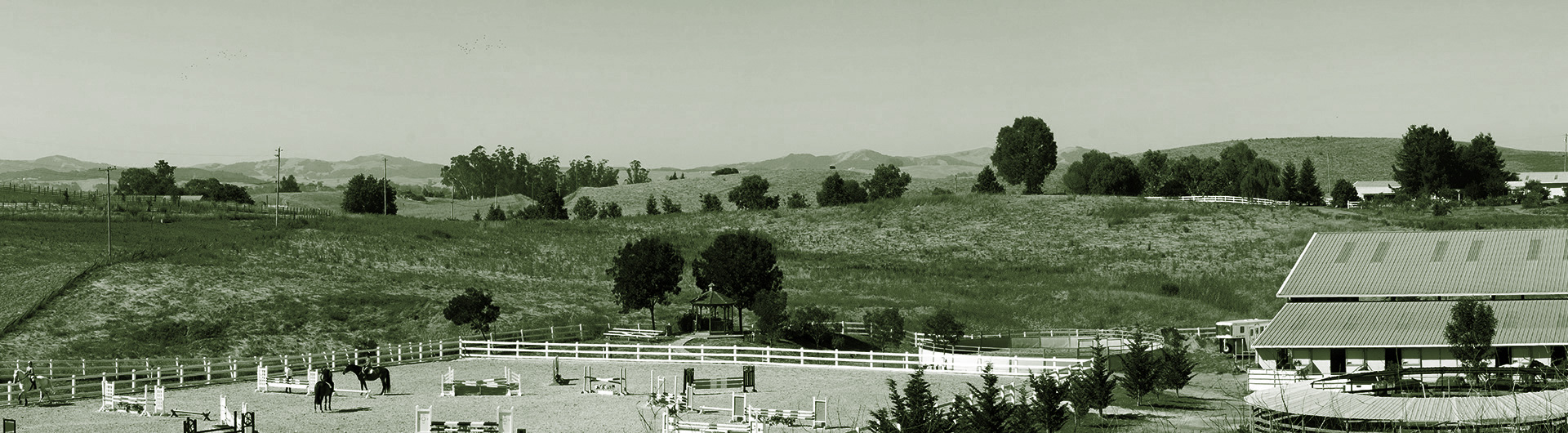 Willowbrook Stables Oliver Bc at Seth Hynes blog