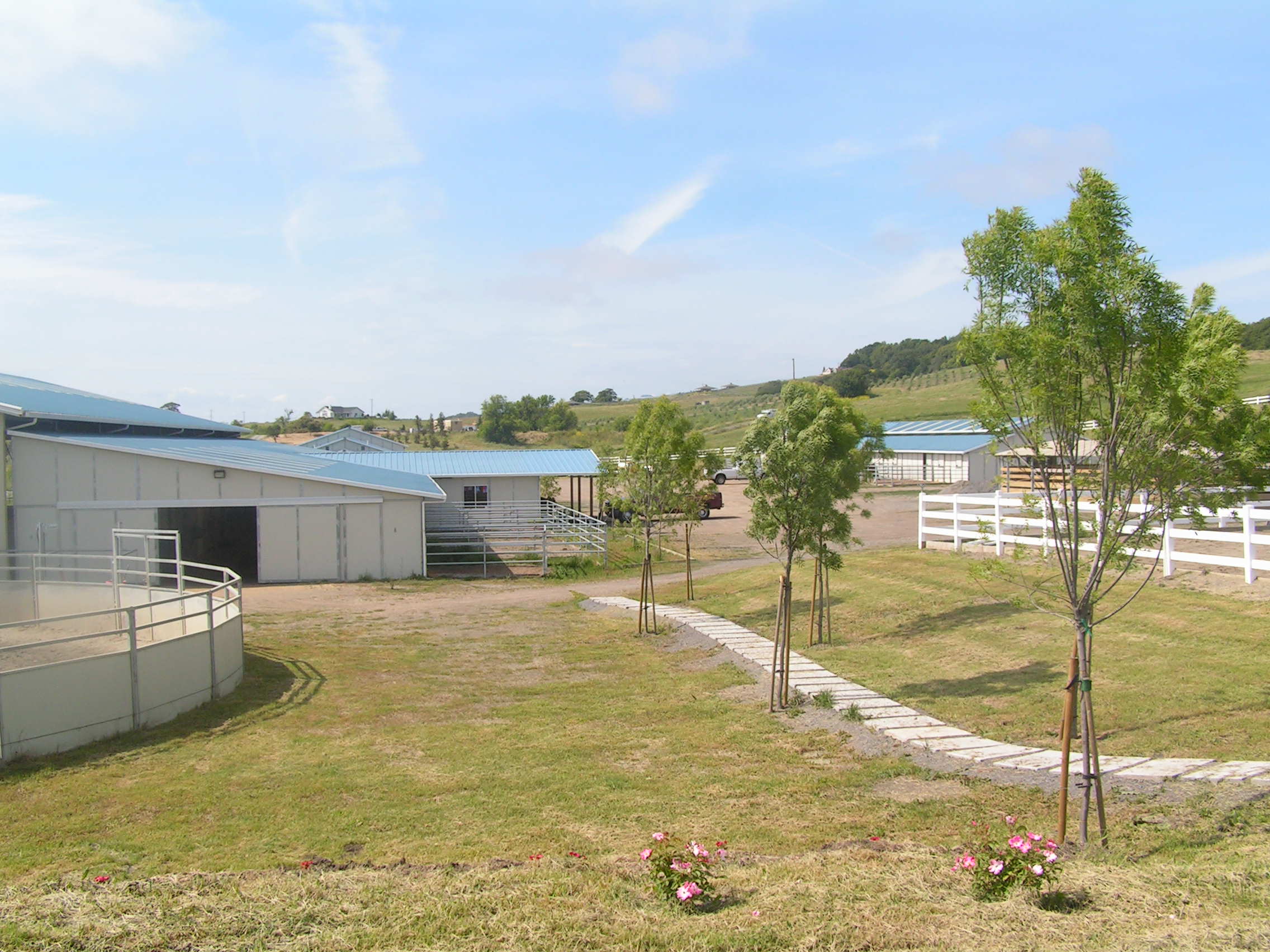 Gallery Willowbrook Stables