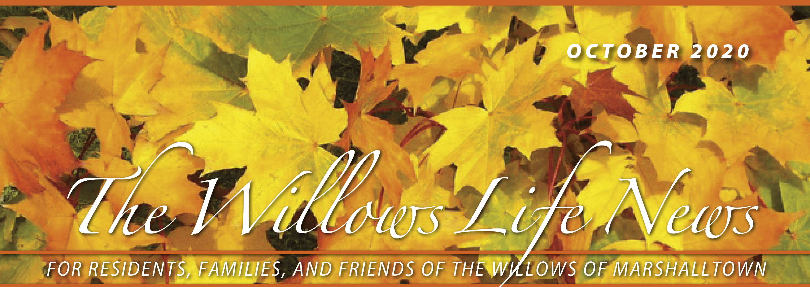 Willow Christmas 2020 October 2020 Willows Life News The Willows of Marshalltown