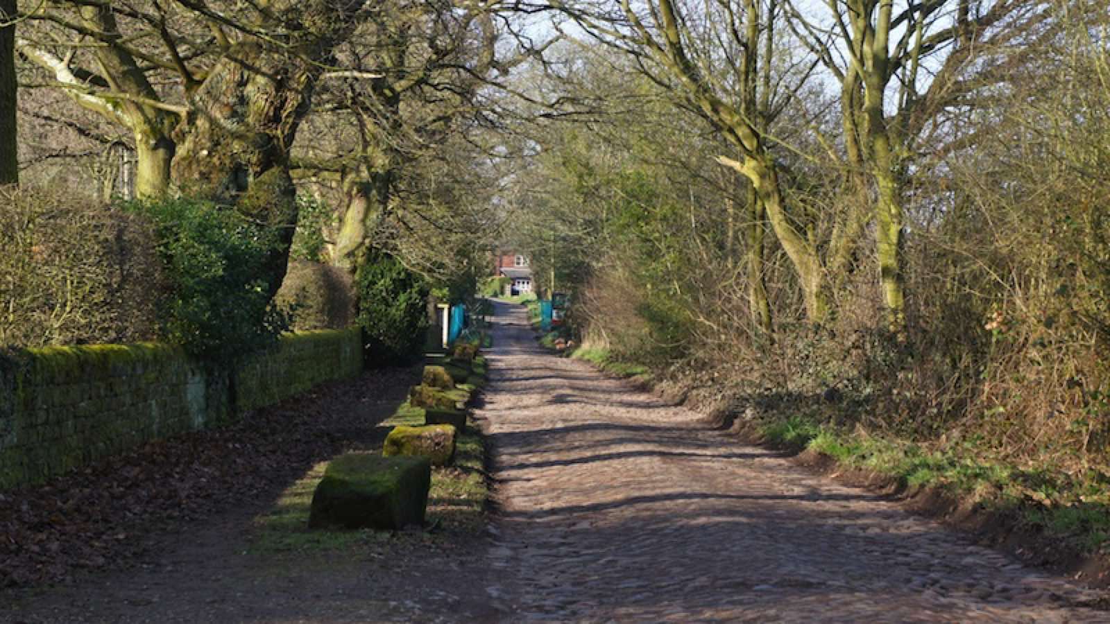 Alderley Edge to Bradbury Lane