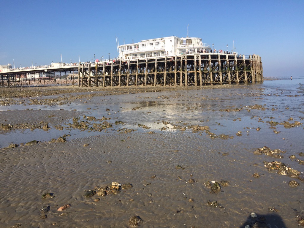 Low Tide at Worthing Pier, West Sussex Dan Wilson