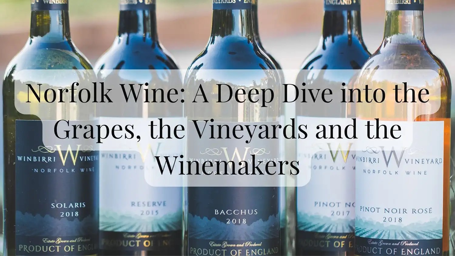 Norfolk Wine A Deep Dive into the Grapes, Vineyards & Wine