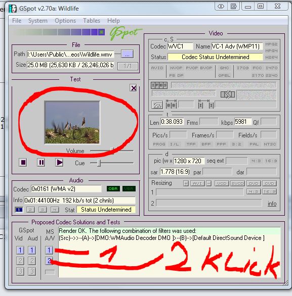 Klemme Fraktion Ananiver windows 10 media player nur ton kein bild