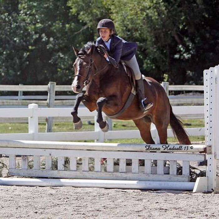 Lesson Horses Windermere Equestrian Center
