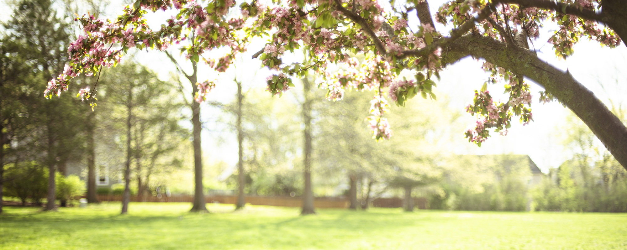 Windham Hill A residential community in Overland Park, Kansas
