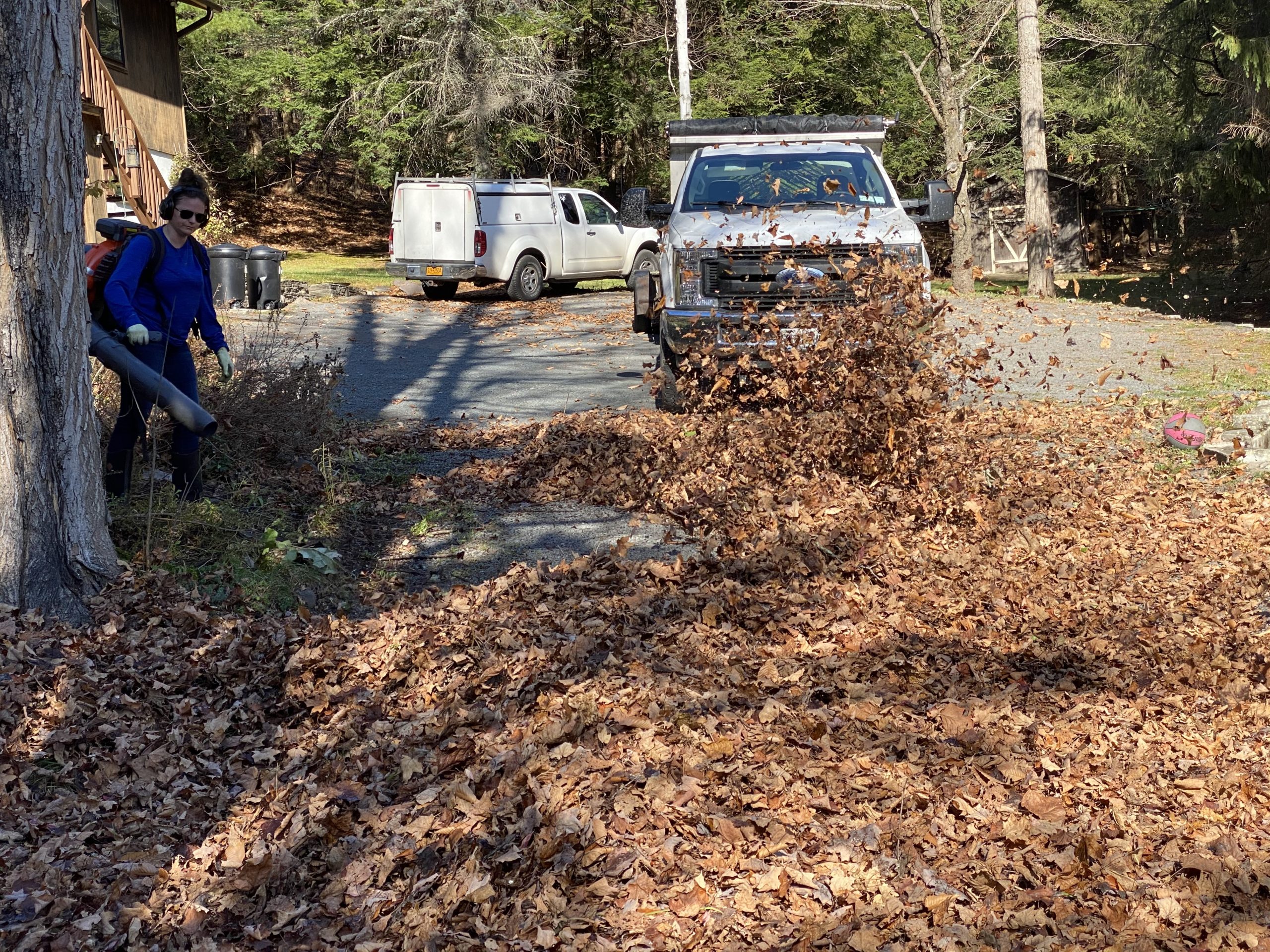 Seasonal Cleanups Spring and Fall Windham Lawn Care