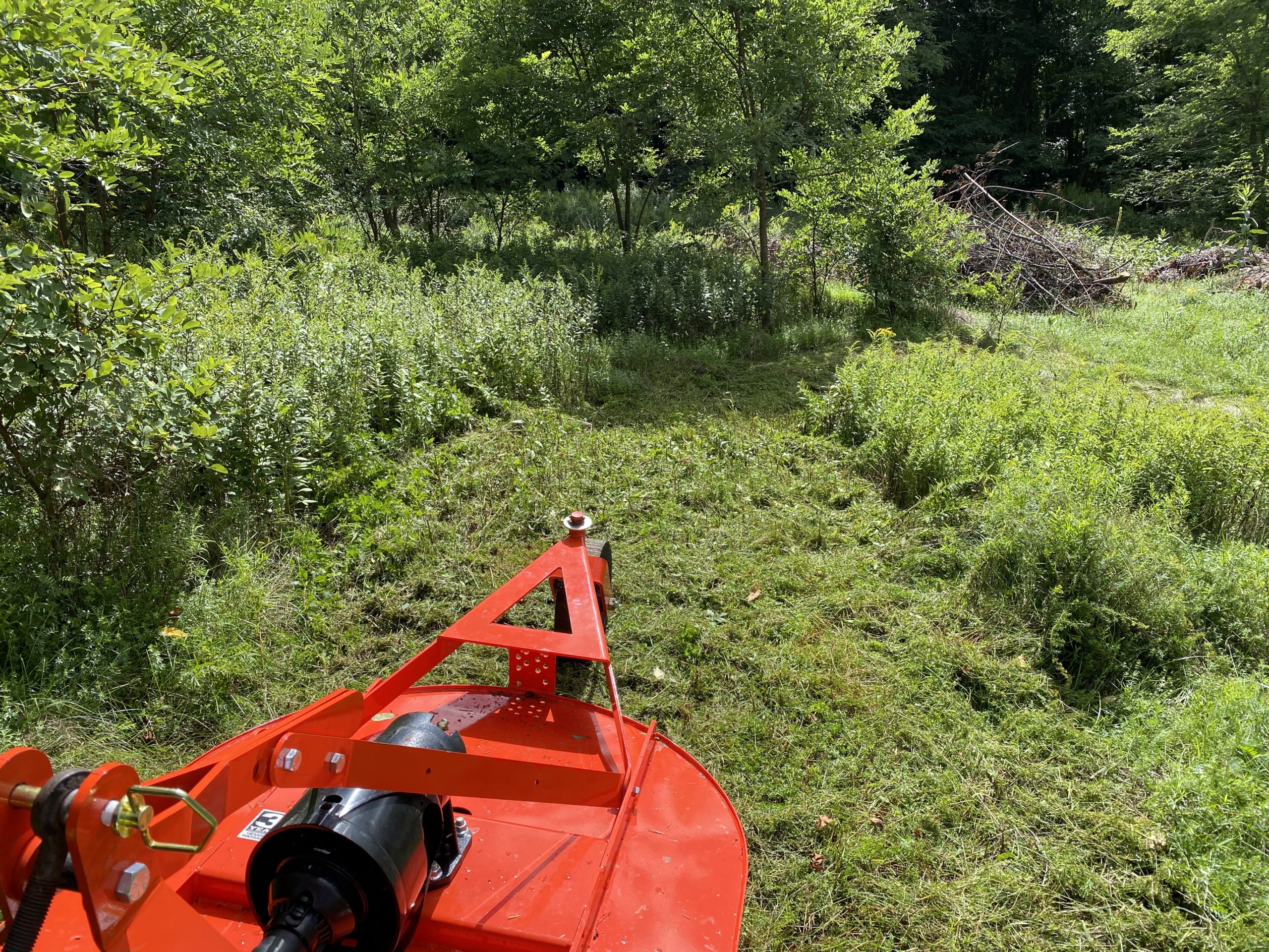 Reliable Brush Cutting Windham Lawn & Landscape 5187340566