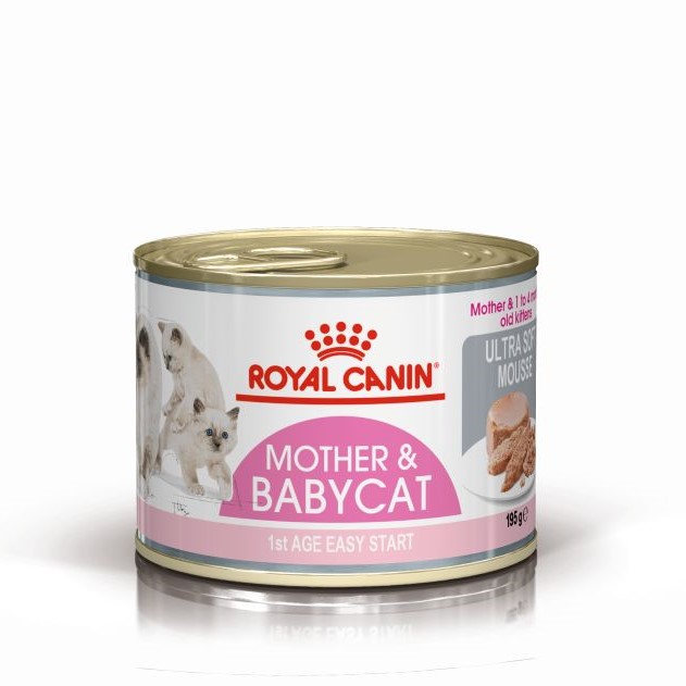 FHN Baby Cat Wet Windies Corp