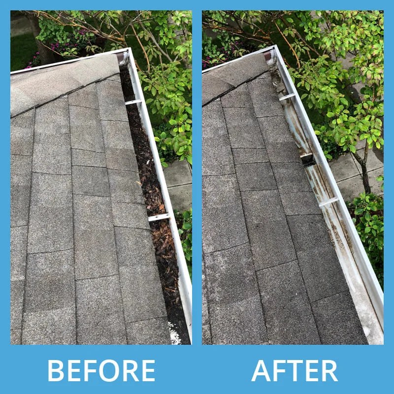 Chicago Window Cleaning Gutter Cleaning Pressure Washing