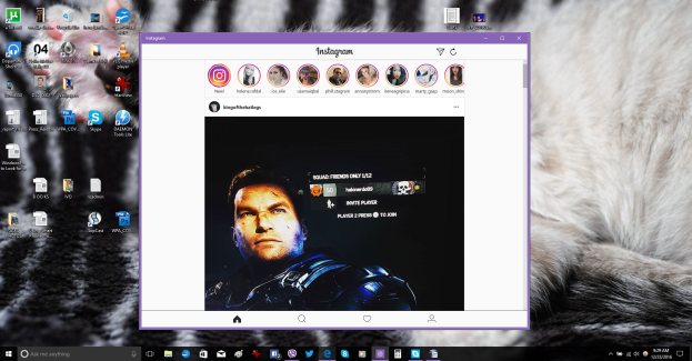 Live video streaming arrives on Instagram for Windows 10