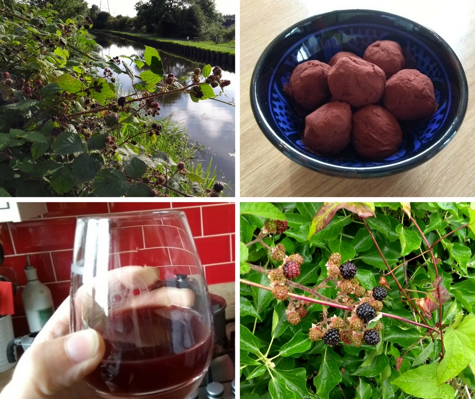 Blackberry bush, chocolates and blackberry gin